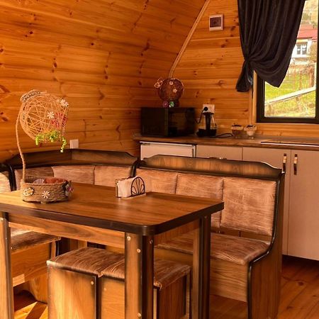 Vaso-Levani Kazbegi Cottage المظهر الخارجي الصورة