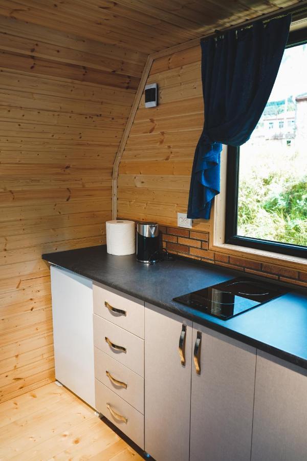 Vaso-Levani Kazbegi Cottage المظهر الخارجي الصورة