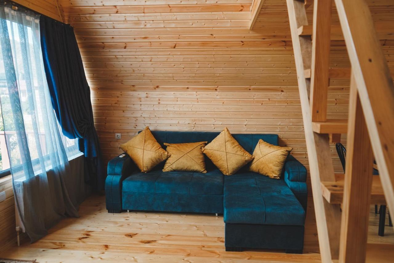Vaso-Levani Kazbegi Cottage المظهر الخارجي الصورة